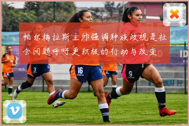 帕尔梅拉斯主帅强调种族歧视是社会问题呼吁更积极的行动与改变